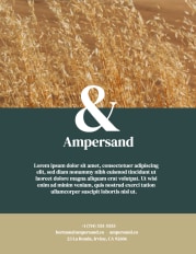 ampersand business flyer