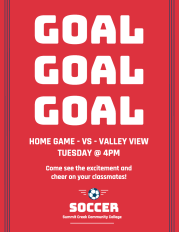game flyer - soccer team