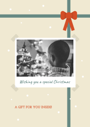 Special Christmas - Bubble mailer