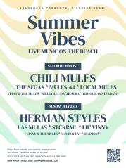 Summer Vibes Music Festival - Event Poster