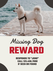 missing dog reward