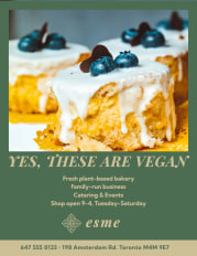 esme - business flyer