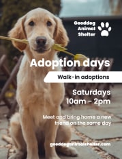 adoption days