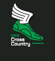 Running shoe logo