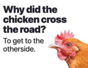 Chicken crossing