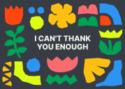 I can't thank you enough