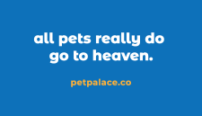 pet palace - business card side a