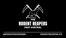 rodent reapers - business card side a