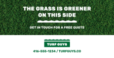 turf guys - stimulus post