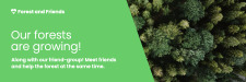 our forests are growing