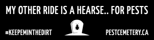 Pest Cemetery - bumper sticker
