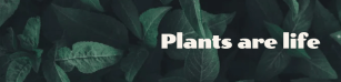 Plants are life
