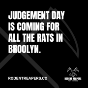rodent reapers - square ad