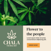 Chala flower to the people