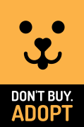 Don't buy adopt