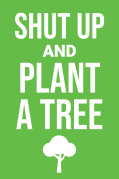 plant a tree