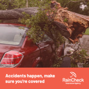 Rain check insurance