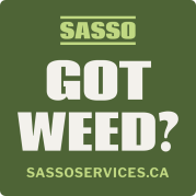 Sasso - rounded corner sticker