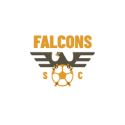 falcons soccer