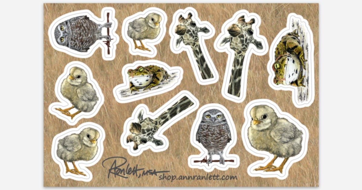 4 x 6 Sticker Sheets Sticker Sheets Free shipping Sticker Mule