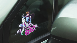 Car decals (Die cut)