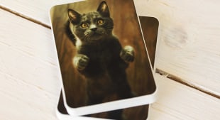 Katzen-Sticker