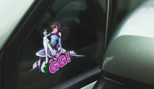 Car decals (Die cut)