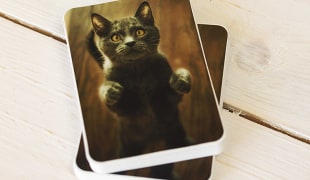 Katzen-Sticker