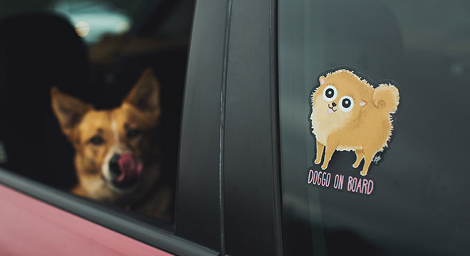 Car window decals of dog