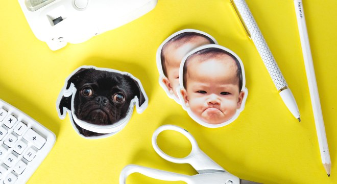 Custom stickers of baby and dog faces