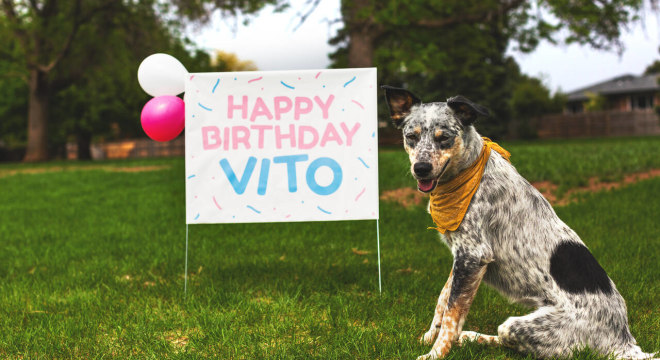 A dog with a custom lawn sign