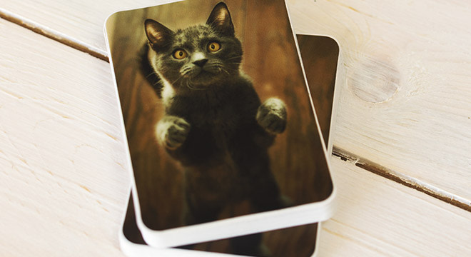 Cat Stickers – for Print and Cut - Try It - Like It - Create it