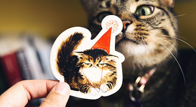 Cat sticker illustration