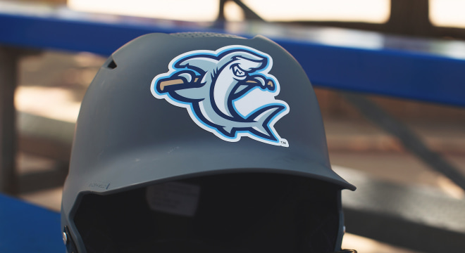 Custom baseball helmet with a dolphin decal
