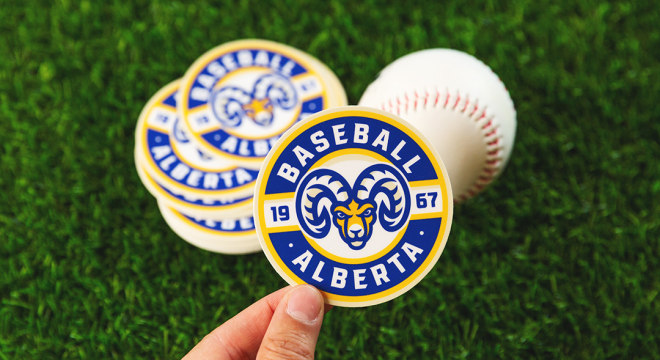 Baseball helmet decal sticker