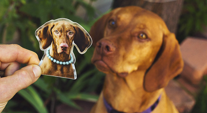 Die cut dog sticker