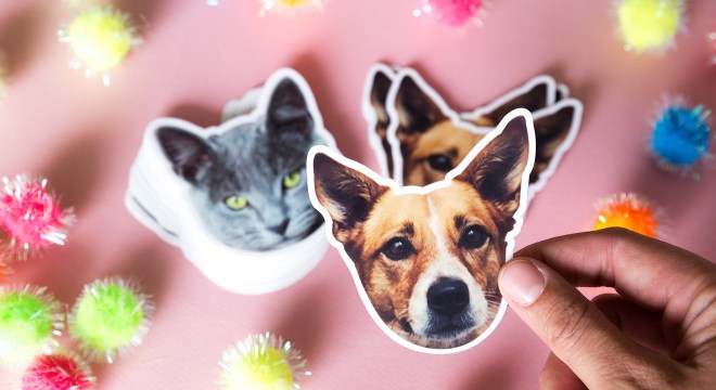 Custom pet face stickers