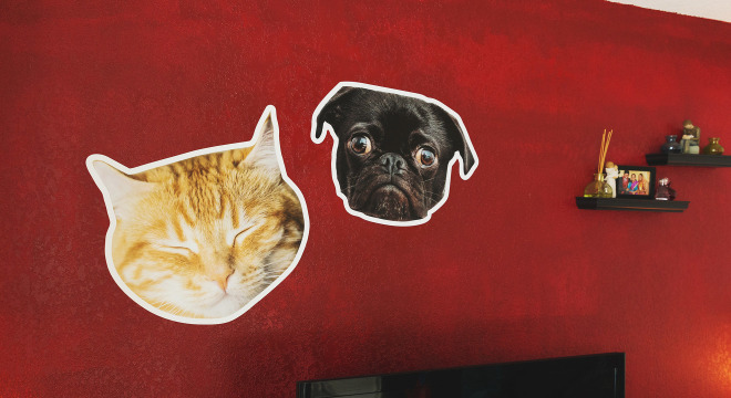 Wall decals of pets' faces