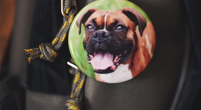 Custom photo pin-back button with a dog