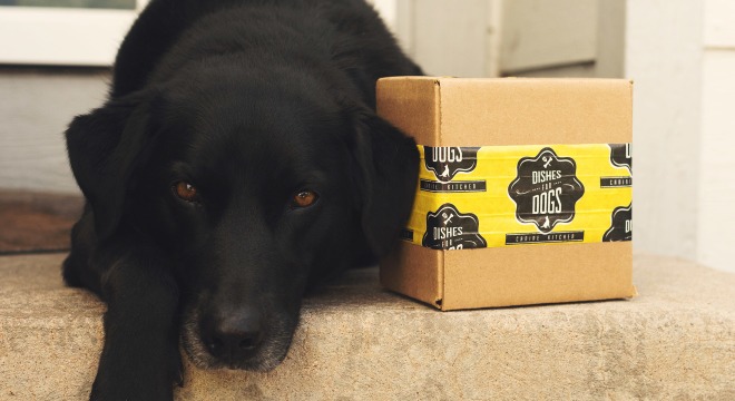 Custom packaging tape and dog