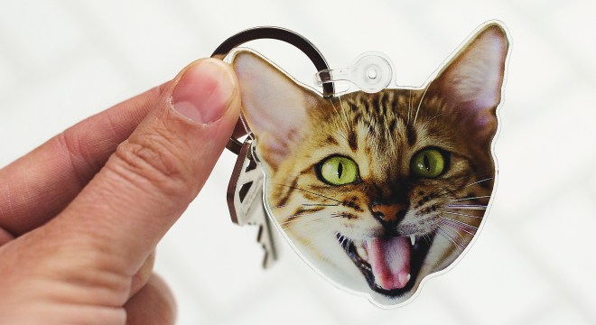 Custom keychain with a photo of a cat