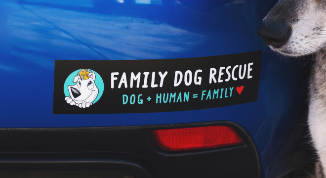Custom bumper stickers Quick free shipping Sticker Mule