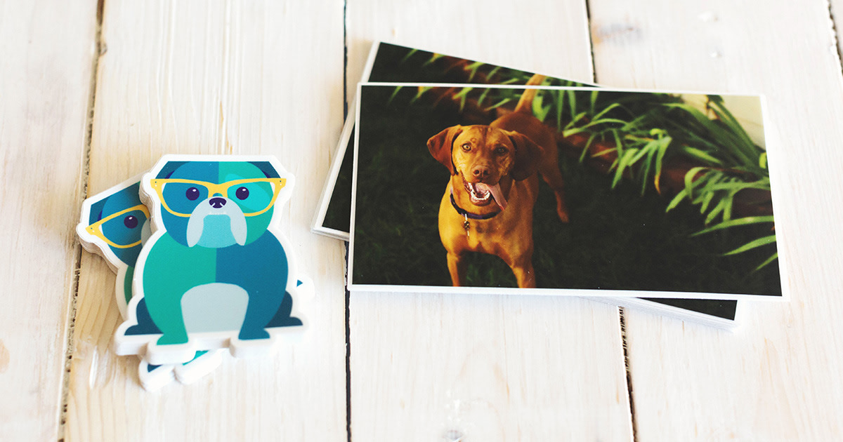 Raster Vs Vector What S The Difference Blog Sticker Mule Raster Vs Vector What S The Difference Blog Sticker Mule