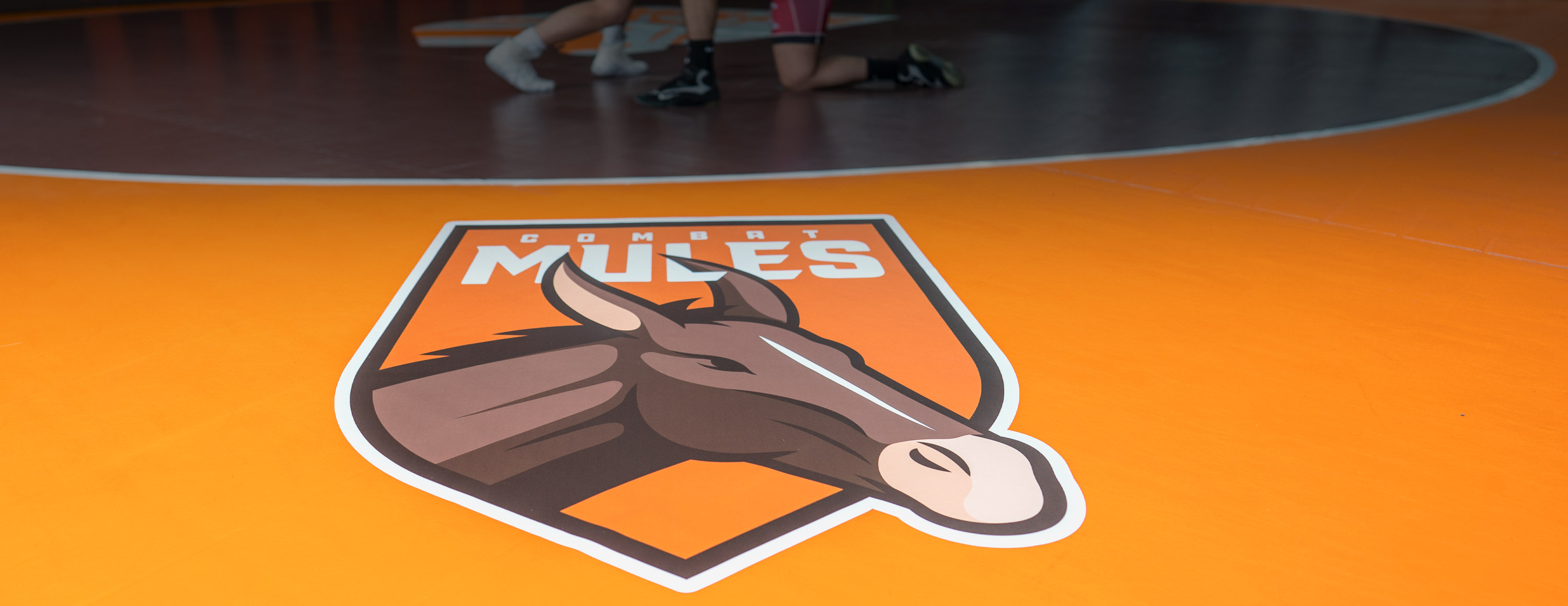 Wrestling mat decals