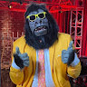 thegorillagician