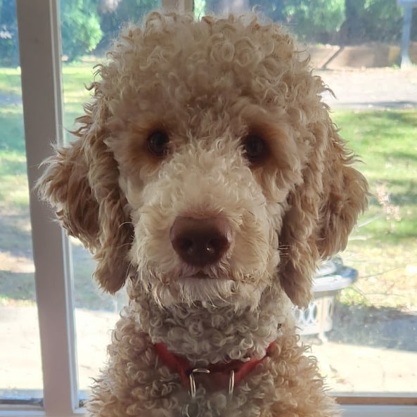 doug