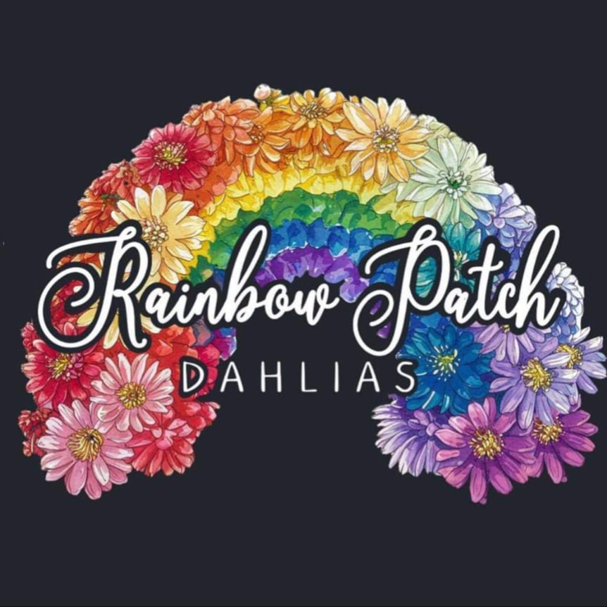 rainbowpatchdahlias