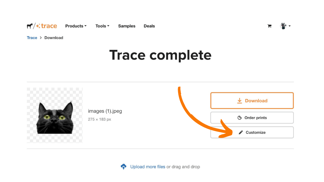 screenshot a mostrar onde é possível personalizar a sua imagem no trace
