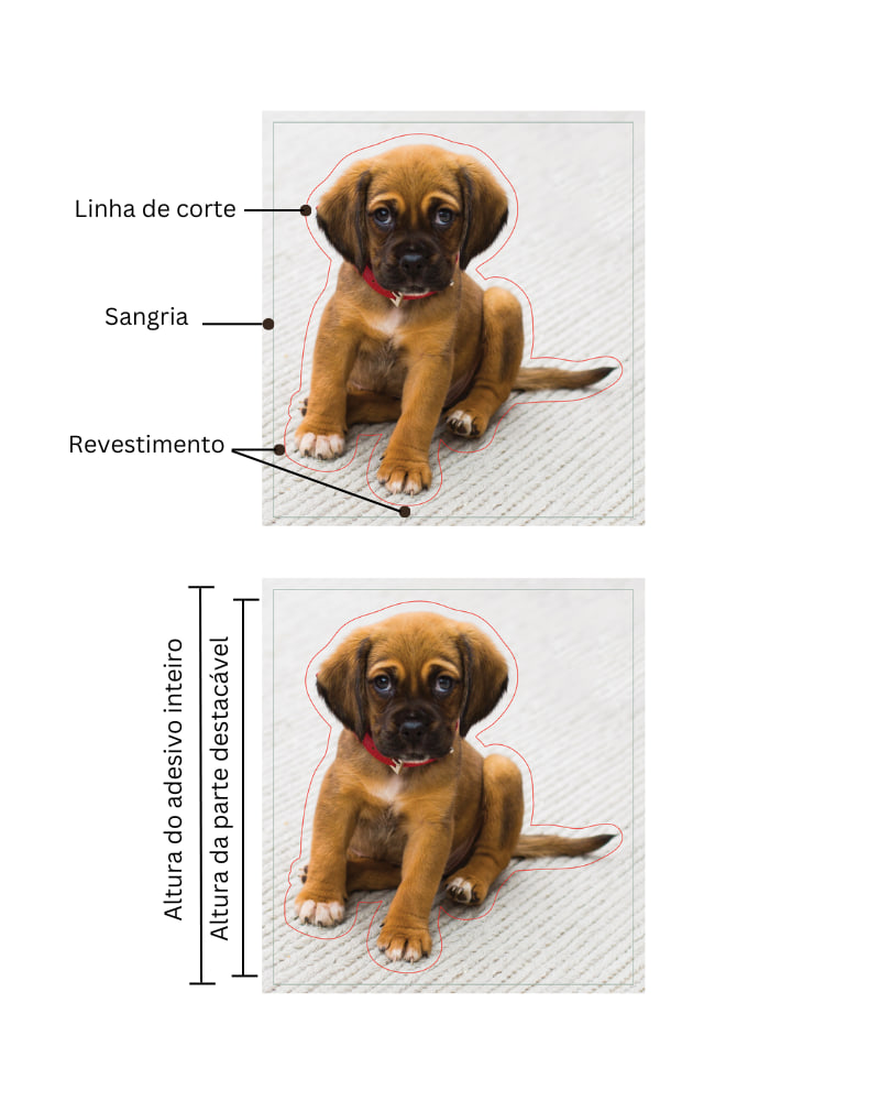 imagem de cachorrinho mostrando revestimento, linha de corte e sangria no adesivo. Imagem de cachorrinho mostrando a altura do adesivo descolável vs a altura inteira do adesivo.