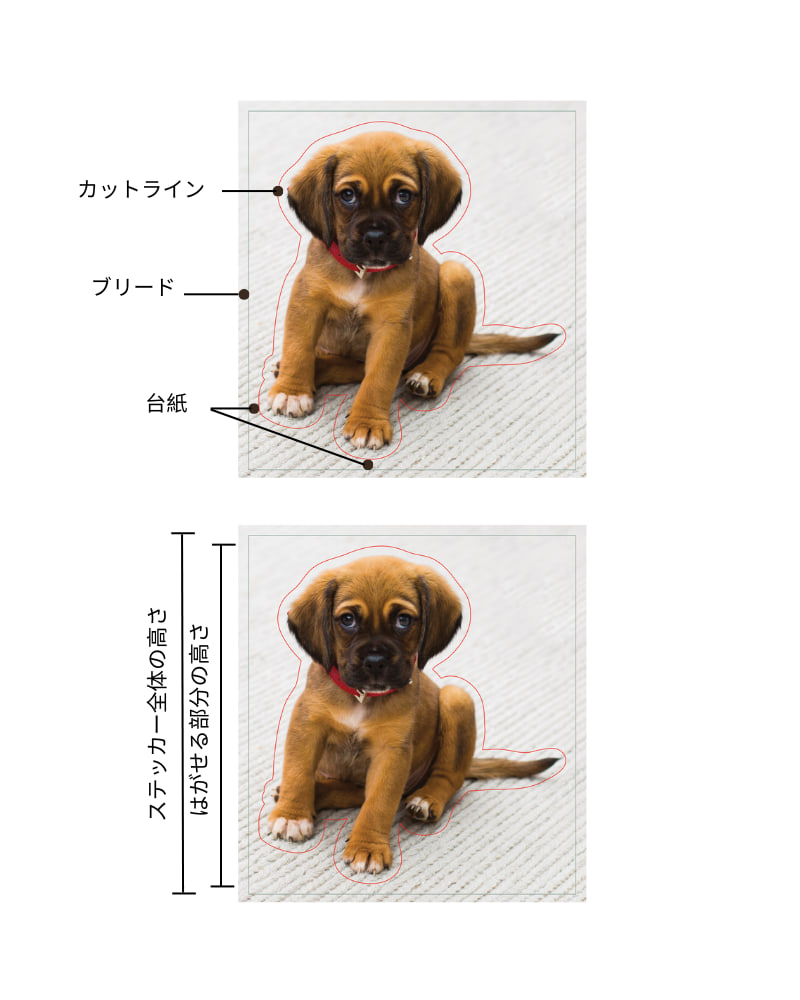 ステッカーの台紙、カットライン、ブリードを示した子犬の画像、ステッカー全体の縦サイズに対して剥がせるステッカー部分の縦サイズを示した子犬の画像